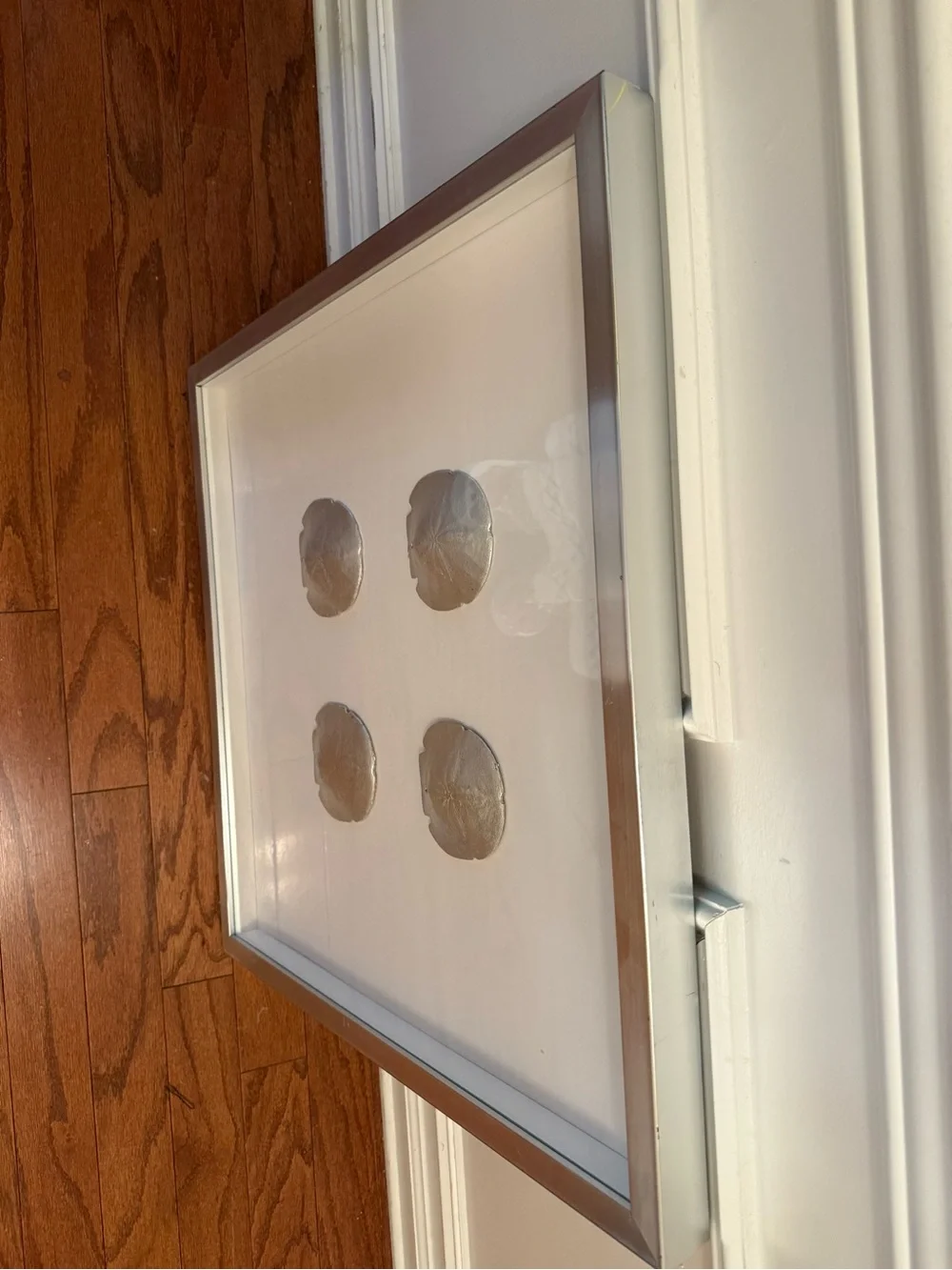 Like New Pier 1 Framed Silver Sand Dollar Wall Art